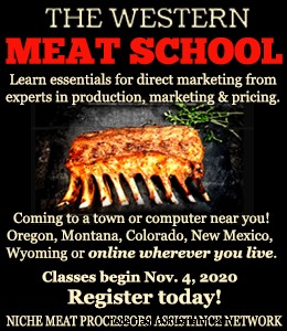 Grazing Pigs – Fencing Tips