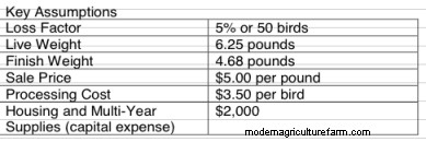 Considering Adding Broilers? Here’s a Tool to Help You Plan