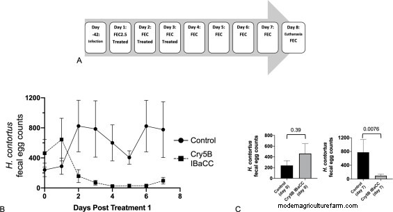 Ground-Breaking Treatment Prevents Parasites in Sheep