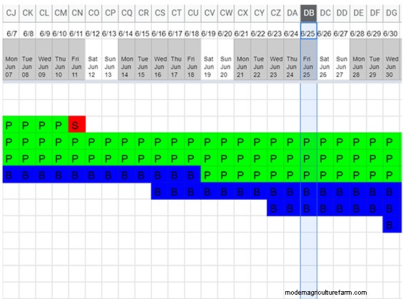 A Grazing Chart for Pastured Broilers