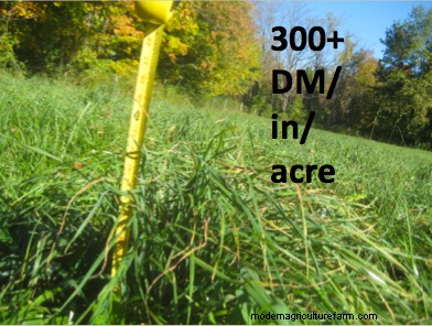 How Many Animals Can Your Pasture Support?