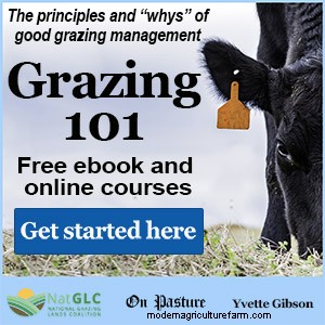 Shade Options for Grazing Cattle – Natural, Permanent and DIY Portable