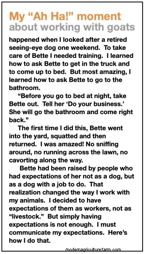 Kathy’s Principles for Working With Livestock