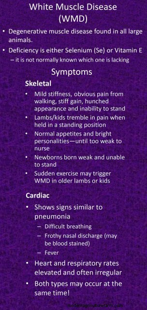 White Muscle Disease – Protect Your Animals From This Mineral Deficiency