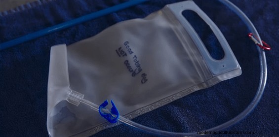 Caring for Young Animals in Trouble – Resuscitation and Tube Feeding