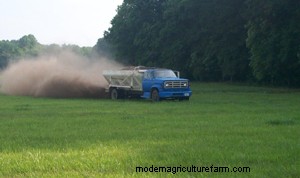 Can Foliar Diseases in Forage Grasses Cause Economic Losses for Livestock Producers?