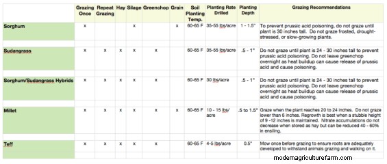 Adding Summer Annuals to Your Pastures