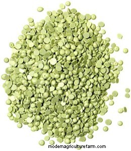 When to Use Lime, Gypsum and Elemental Sulfur