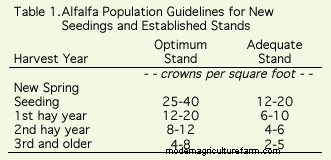 Assess Alfalfa and Small Grain Winterkill Now