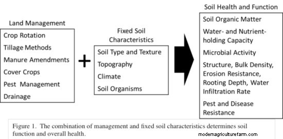 Soil Health Explained