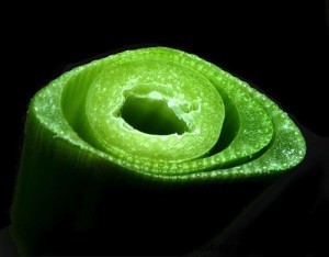 Sneaky Pasture Weeds – Sedges and Rushes