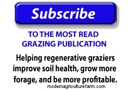 Overcoming Our Brush Prejudice