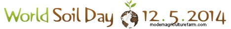 World Soil Day