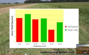 Plants Beat Steel When It Comes To Reducing Soil Compaction