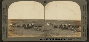 Phosphorus, Your Fields and Pastures, and Water Quality Protection