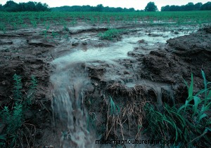 Phosphorus, Your Fields and Pastures, and Water Quality Protection