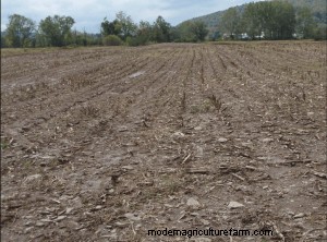 Phosphorus, Your Fields and Pastures, and Water Quality Protection
