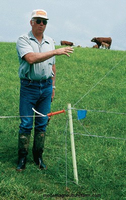 How Grass Grows Tells You How You Should Graze It