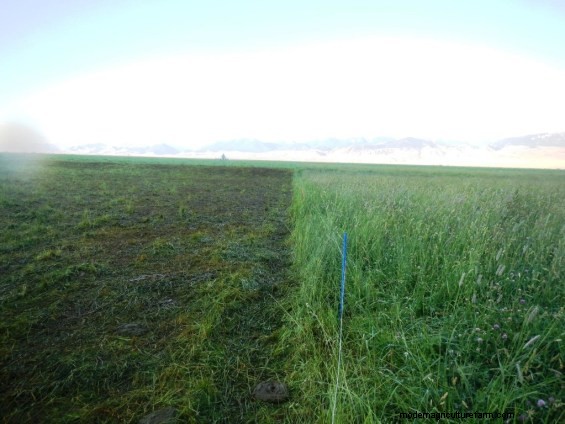 Did Your Wet Pasture Get Mucked Up? Don’t Worry!