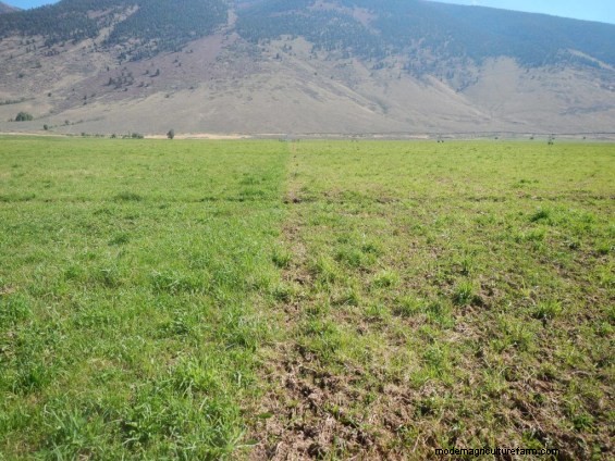 Did Your Wet Pasture Get Mucked Up? Don’t Worry!