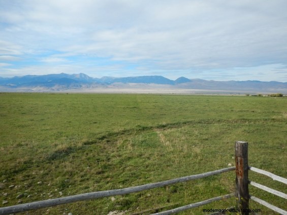 Did Your Wet Pasture Get Mucked Up? Don’t Worry!