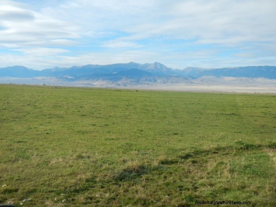 Did Your Wet Pasture Get Mucked Up? Don’t Worry!