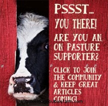 Small Grains as Forage AND Cover Crops