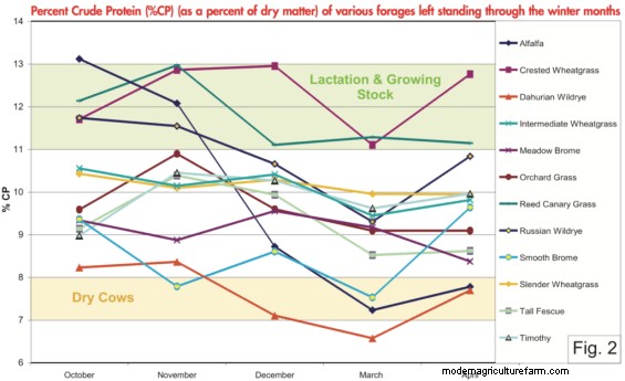 Nutritional Value of Stockpiled and Annual Forage