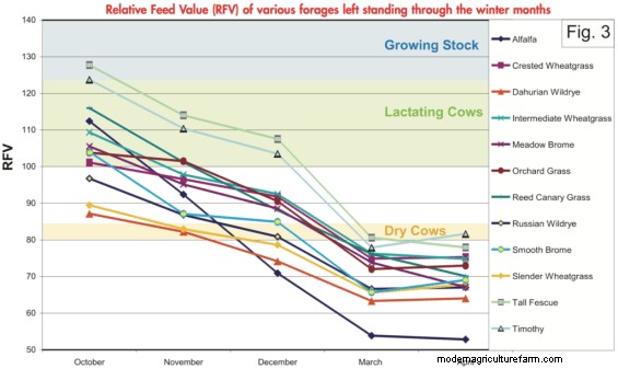 Nutritional Value of Stockpiled and Annual Forage