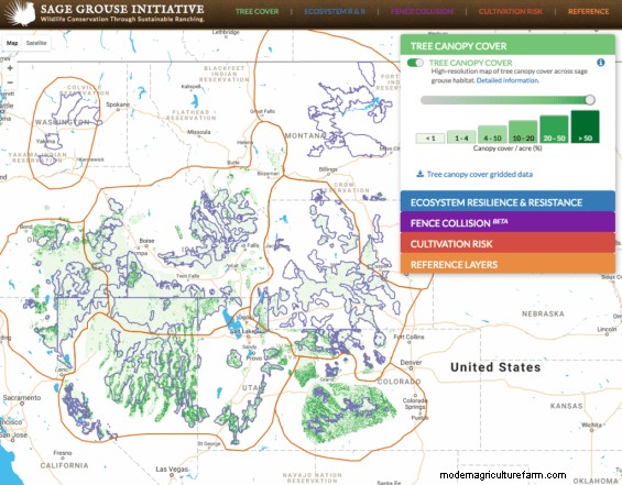Maintaining Sagebrush-Covered Landscapes Keeps Water on the Land for Ranchers and Wildlife