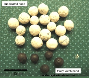 Why Inoculate, Exactly?