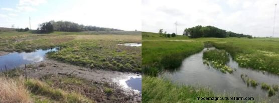 Easy Monitoring to Track Pasture and Rangeland Changes