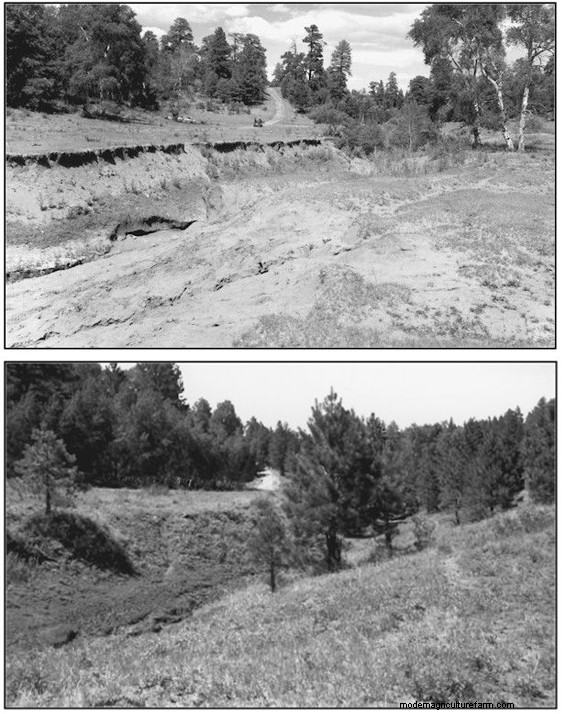 Easy Monitoring to Track Pasture and Rangeland Changes
