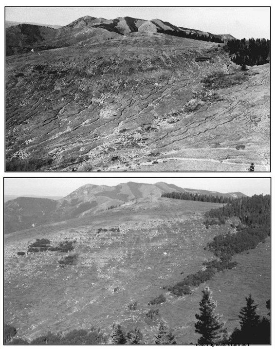 Easy Monitoring to Track Pasture and Rangeland Changes