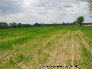 ‘Free Aluminum’ Could Be Costing You Thousands of Dollars In Yield and Quality