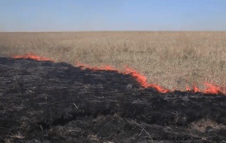 Fire Up Your Beef Production