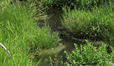 Fire Up Your Beef Production