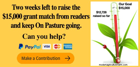 Management Guidelines Can Help Improve Pasture Condition, Optimize Forage Utilization