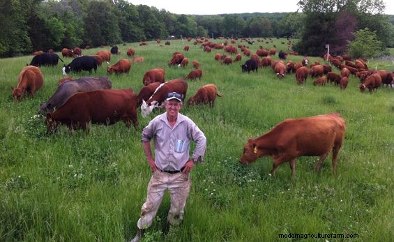 Winter Stockpiled Fescue Trumps Hay Every Time – Part 3 – Fescue Tolerant Animals and Grazing