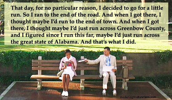 Snow Retention Pasture Walk