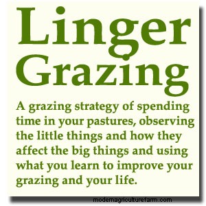 Snow Retention Pasture Walk