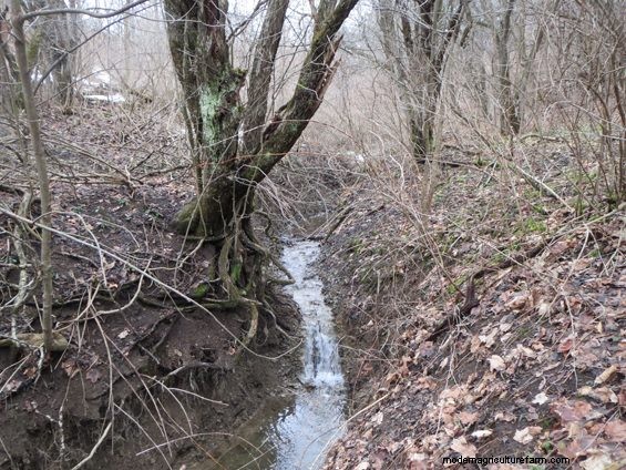 Grazing Around Streams – More Ways To Do The Right Thing