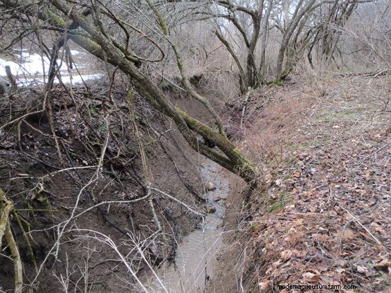 Grazing Around Streams – More Ways To Do The Right Thing