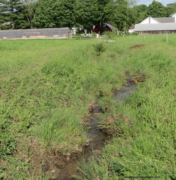 Grazing Around Streams – Three Examples of Trying to Do the Right Thing