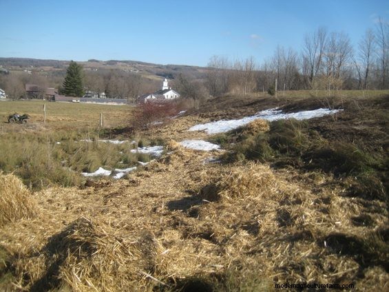 Grazing Around Streams – Three Examples of Trying to Do the Right Thing