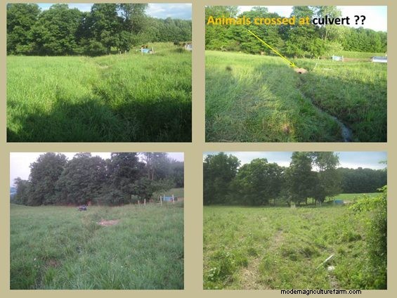 Grazing Around Streams – Three Examples of Trying to Do the Right Thing