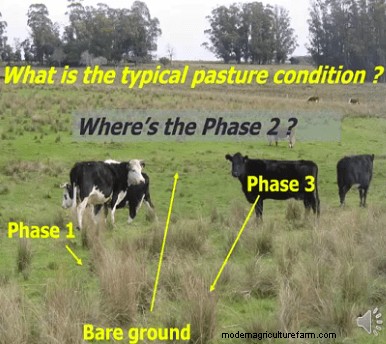 Let’s Waste Grass With Jim Gerrish – Part 2