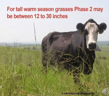 Let’s Waste Grass With Jim Gerrish – Part 2