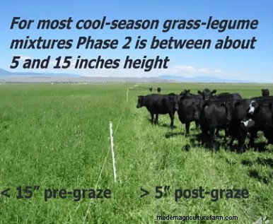 Let’s Waste Grass With Jim Gerrish – Part 2