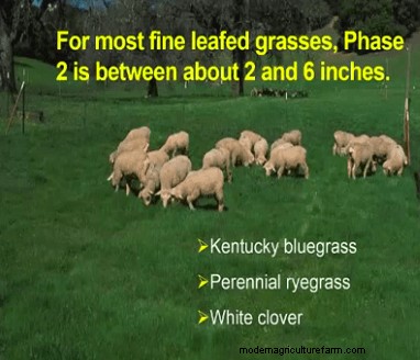 Let’s Waste Grass With Jim Gerrish – Part 2
